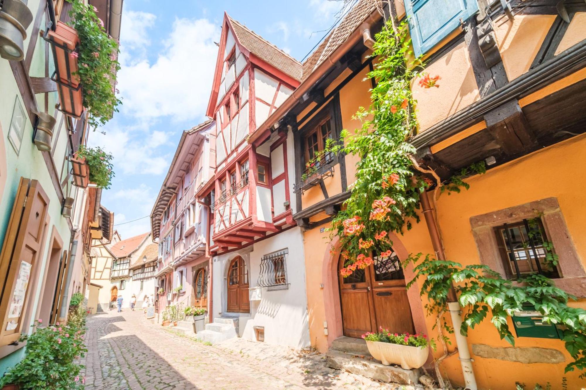 L Oriel Du Rempart Nord Villa Eguisheim Exterior photo